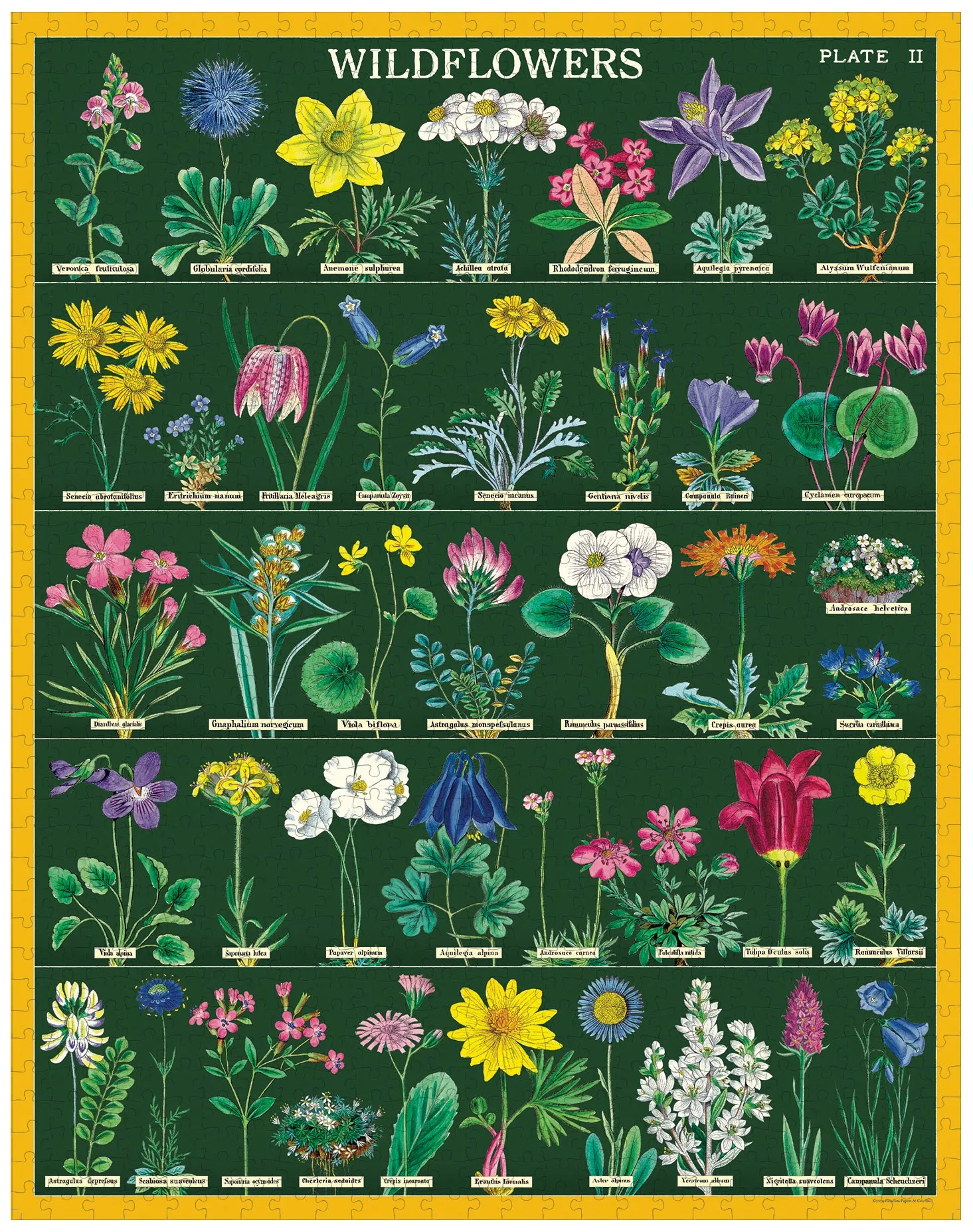 Cavallini & Co. Alpine Wildflowers 1000 Piece Puzzle Kids essentials