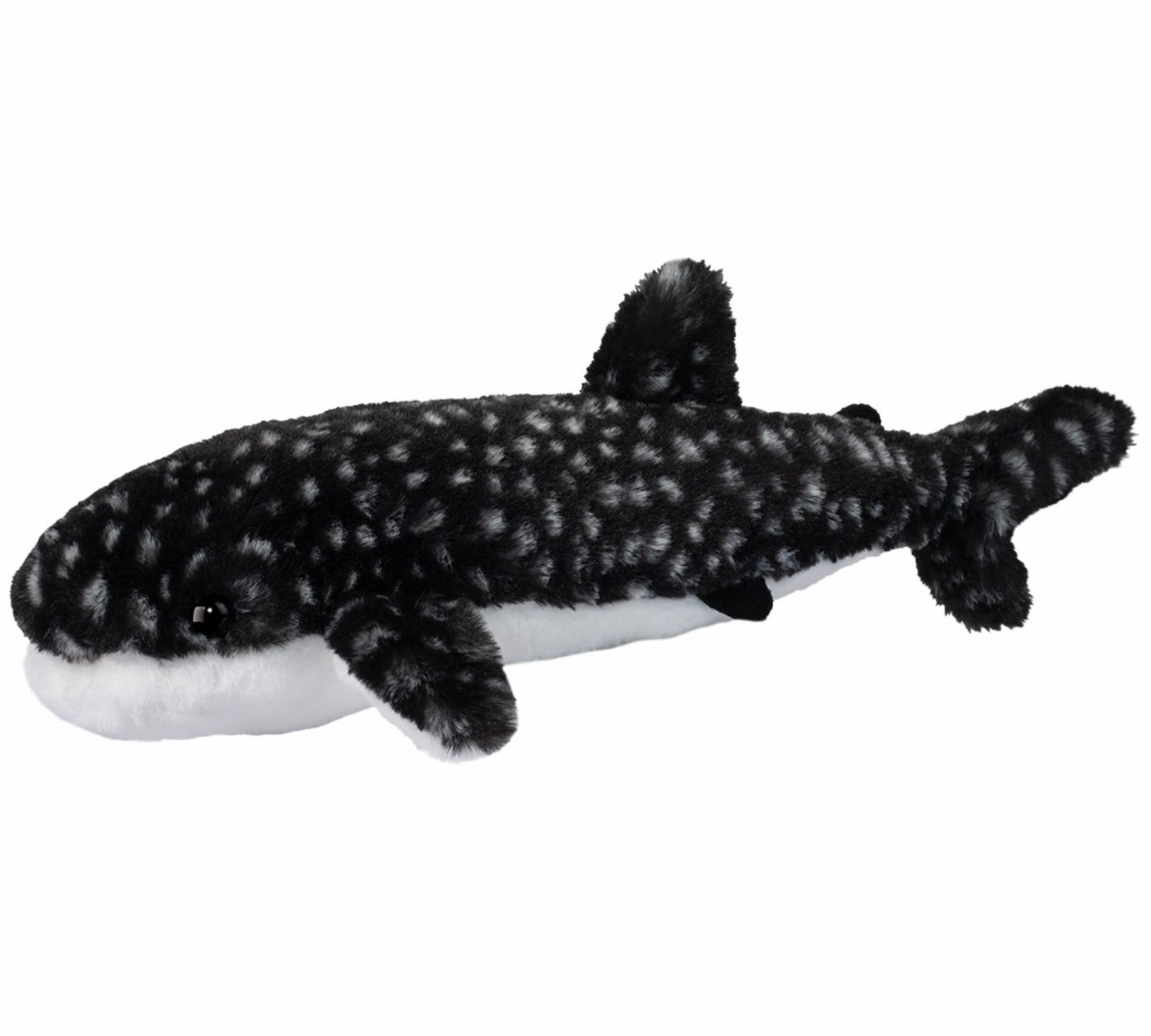 Learning tools Barnacle Whale Shark