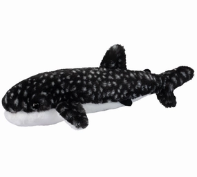 Learning tools Barnacle Whale Shark