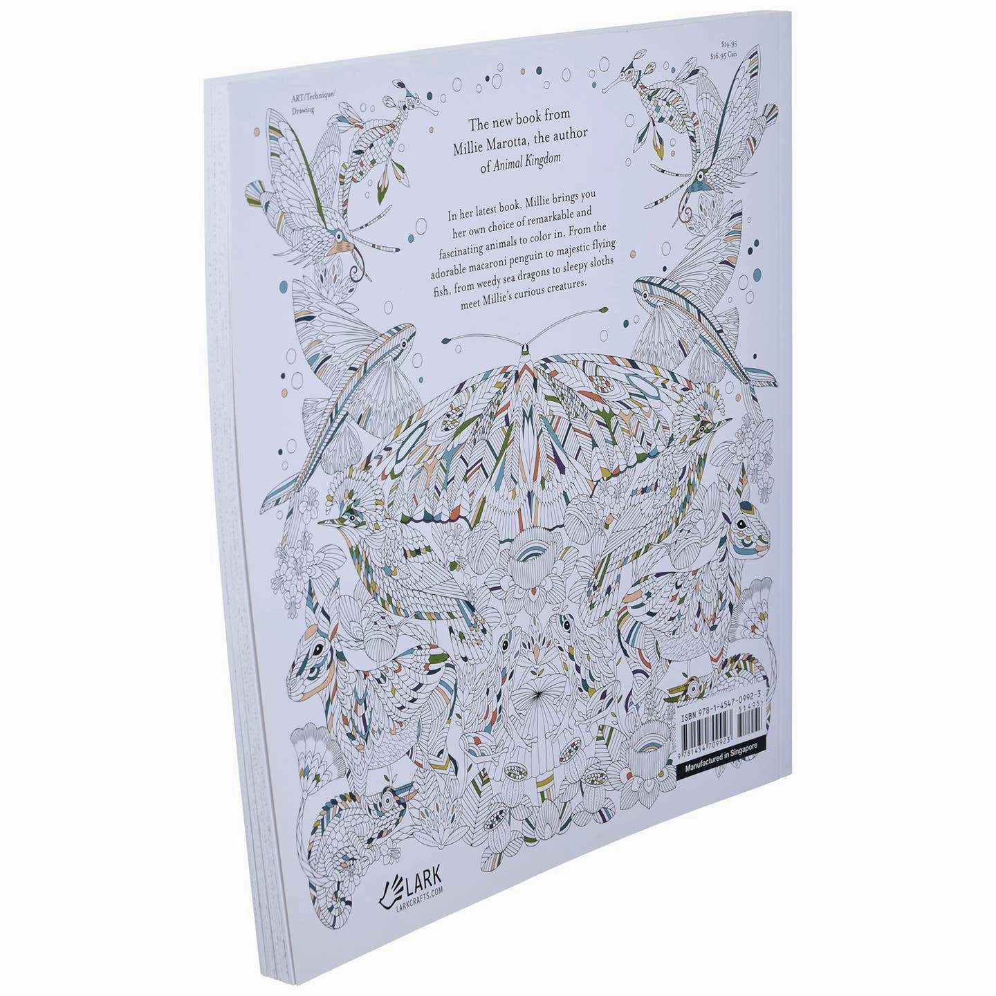 Enrichment activities Learning tools Millie Marotta Curious Creatures Coloring Book