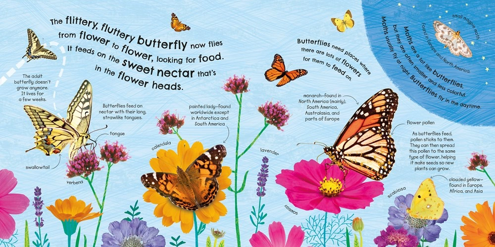 Learning fun Learning tools How Does A Butterfly Grow?