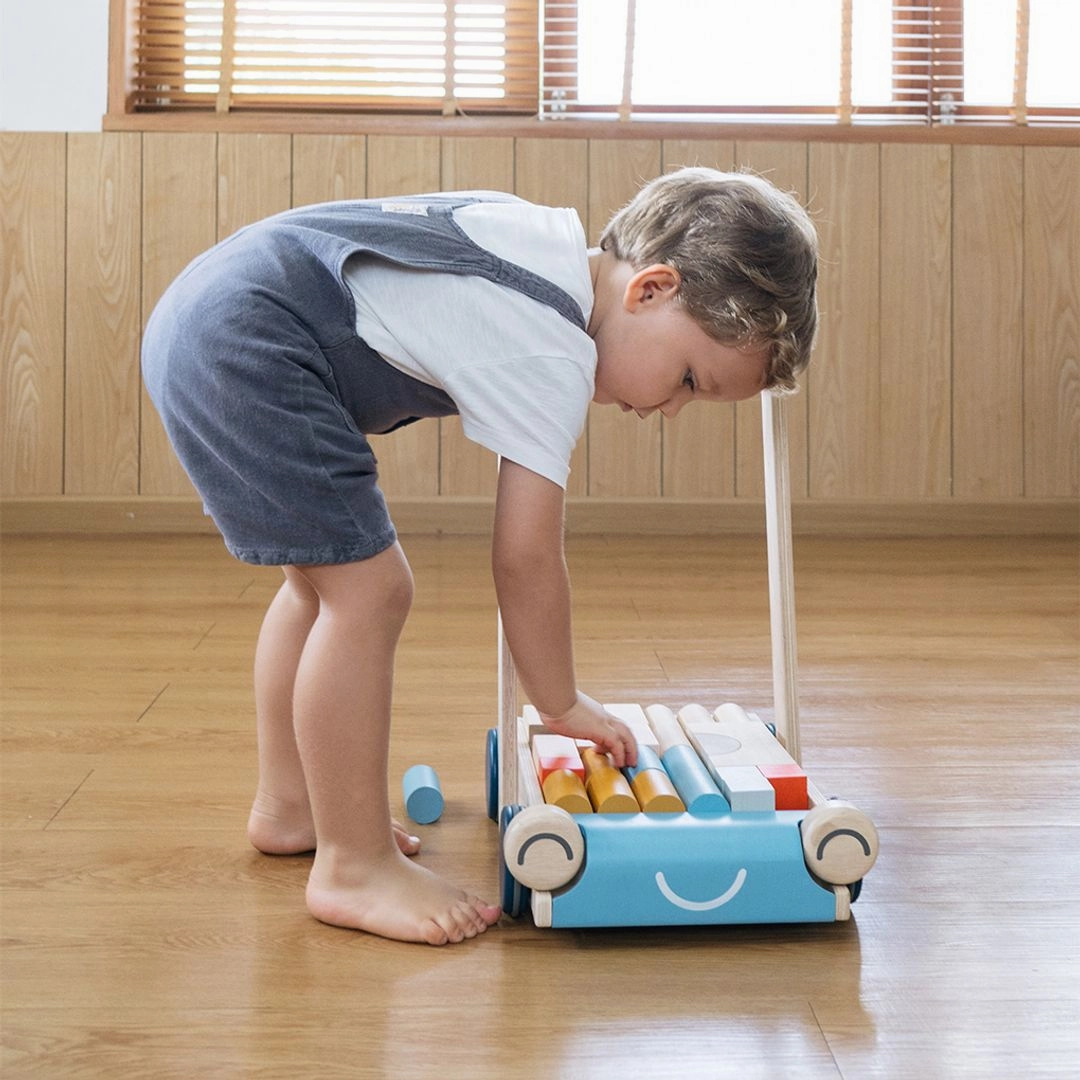 Play-based education Wooden Baby Walker & Block Set