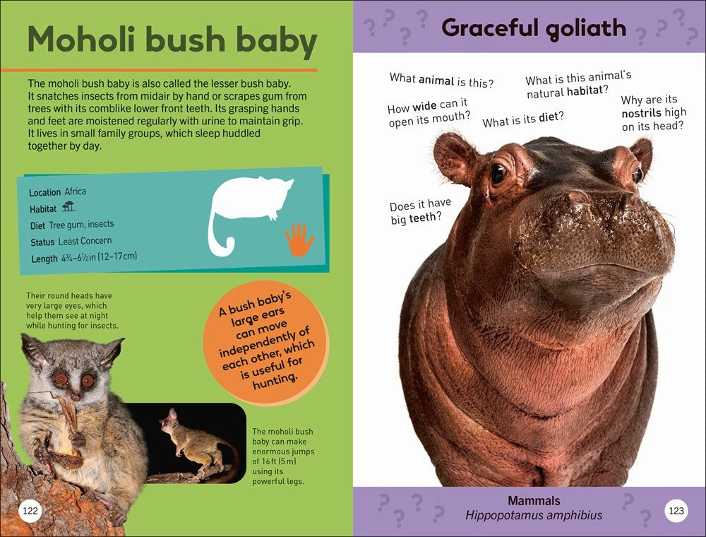 Skill-building tools Smithsonian Quiz: Animals Of The World
