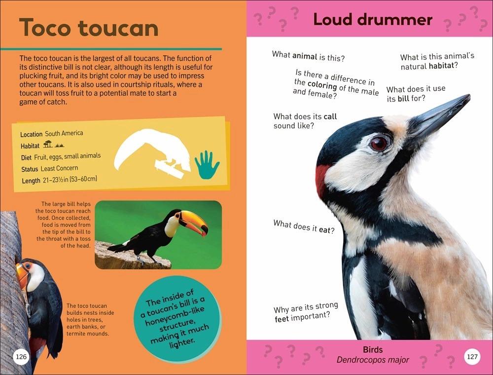 Smithsonian Quiz: Animals Of The World Creative kids Little learners
