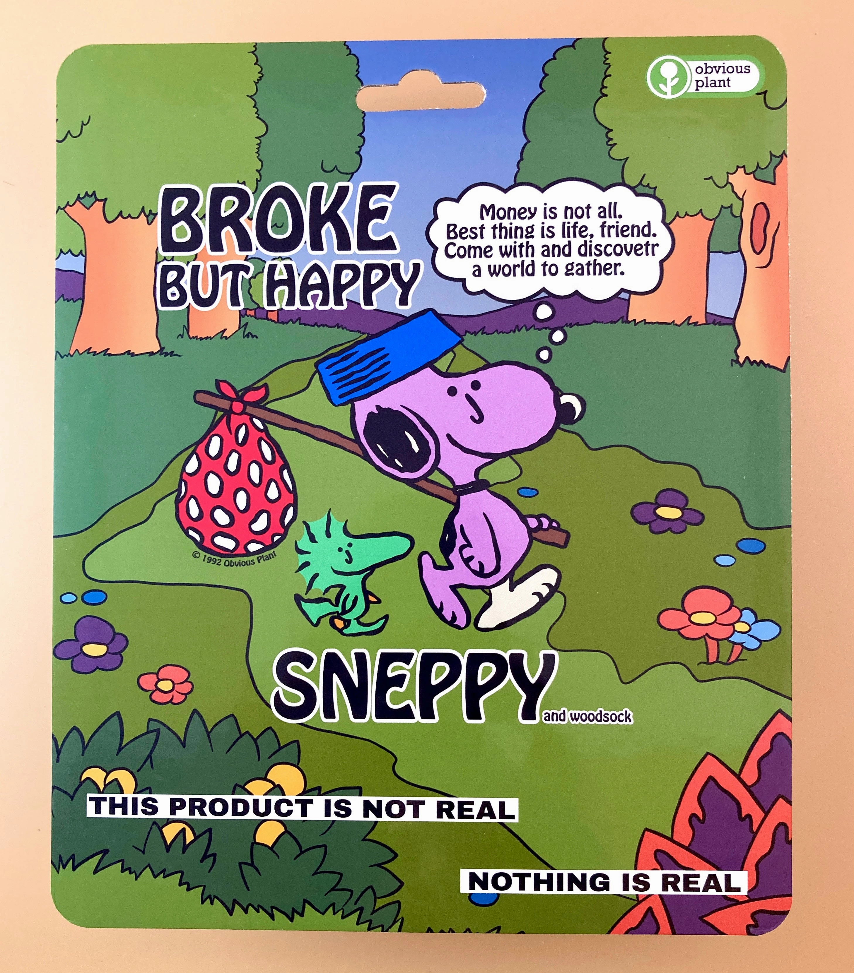 Holistic Imaginative play Sneppy'S Empty Wallet