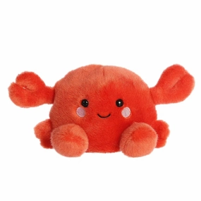 Snippy Crab Learn at home