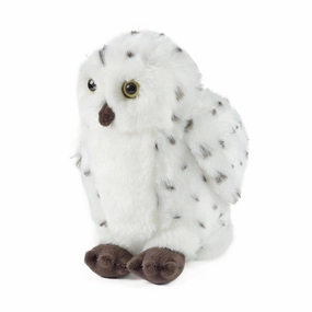 Snowy Owl Smart & fun