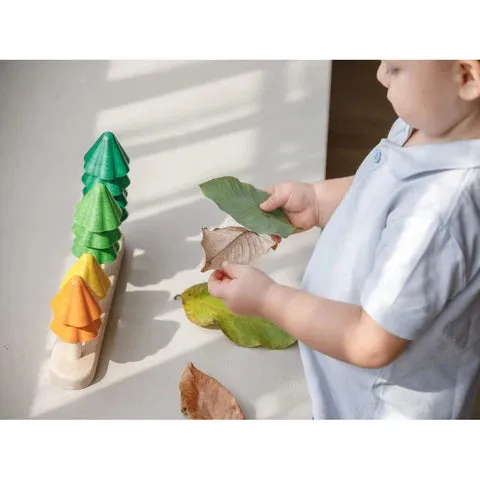 Sort & Count Trees Everyday learning Growing minds