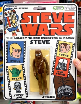 Learning fun Steve Wars - Hairy Steve