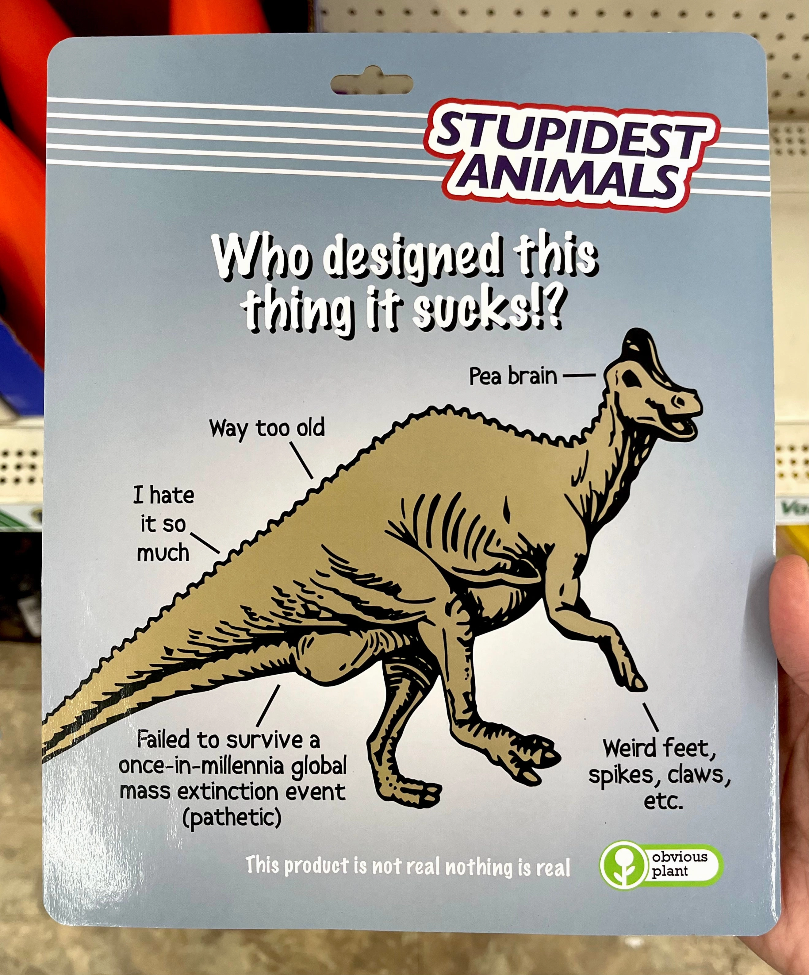 Holistic Stupidest Animals - Almost All Dinosaurs
