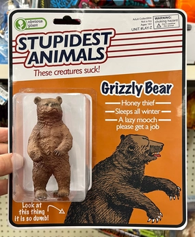 Tiny thinkers Little learners Stupidest Animals - Grizzly Bear