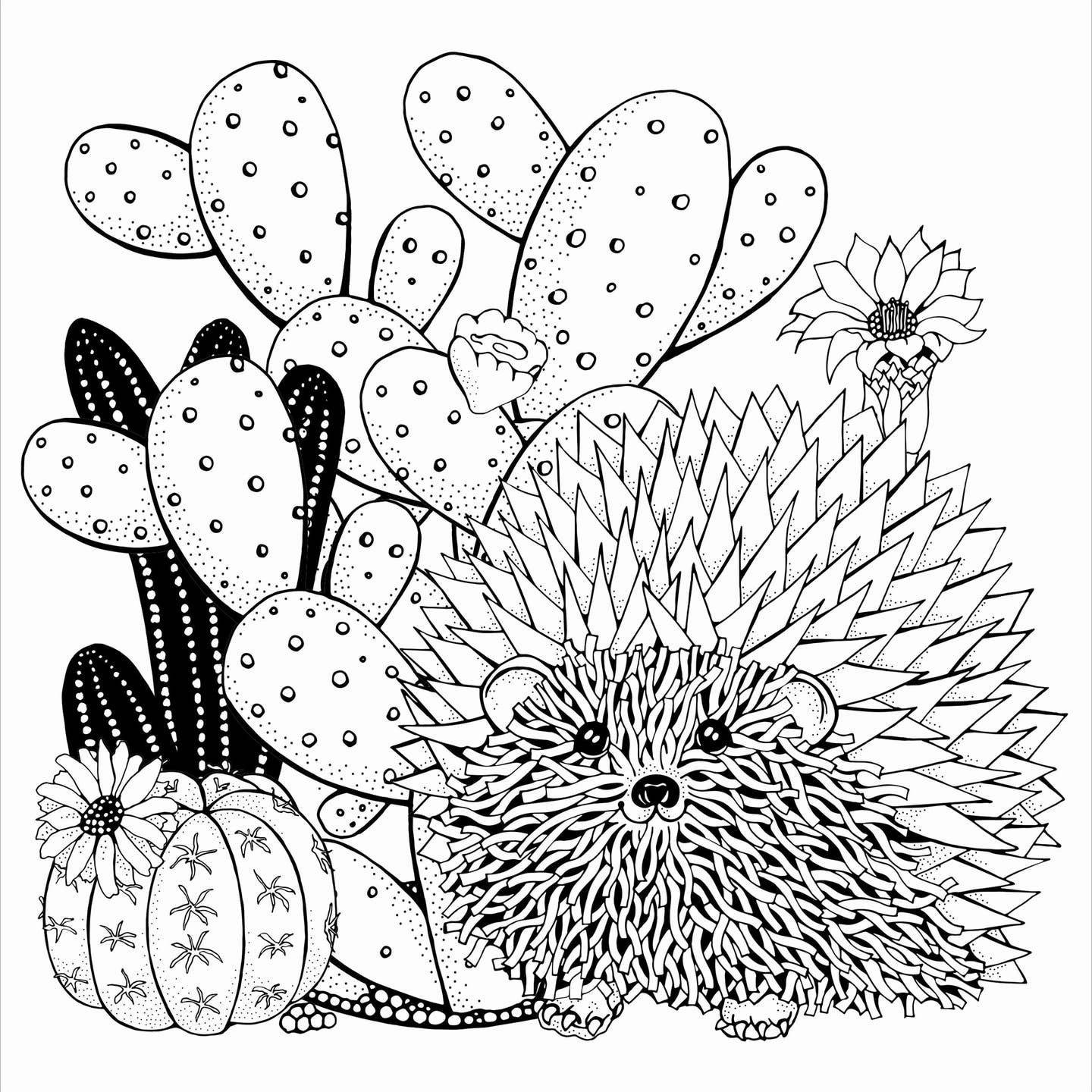 Fun-based learning First explorers Succulents Adult Coloring Book
