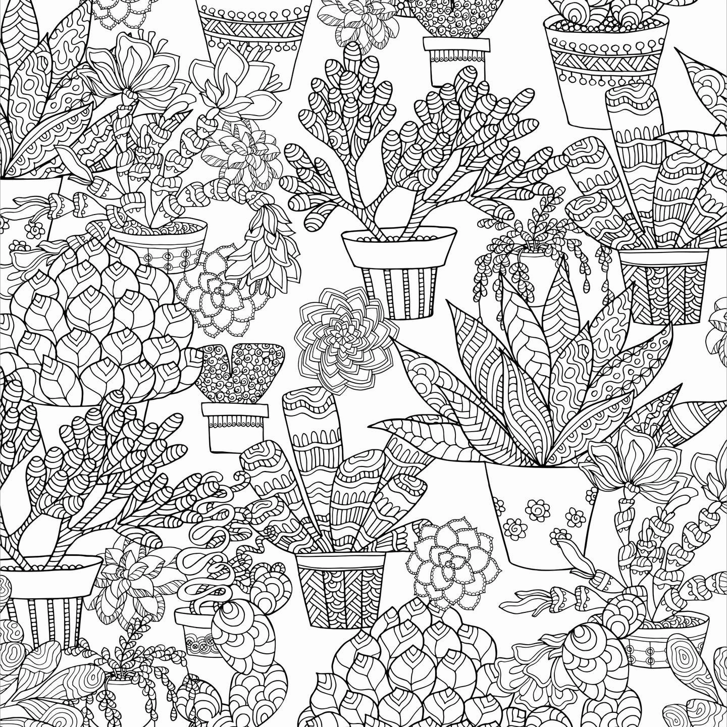 Succulents Adult Coloring Book Young explorers Kid-focused experiences