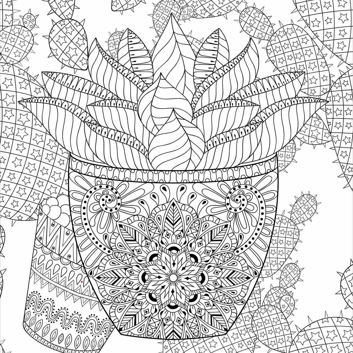 Holistic Tiny thinkers Succulents Adult Coloring Book