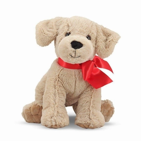 Preschool minds Sunny Yellow Lab