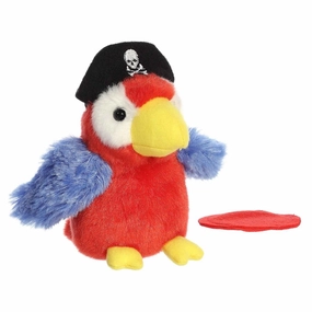 Swashbuckler Pirate Kid-centered learning Brain boosters