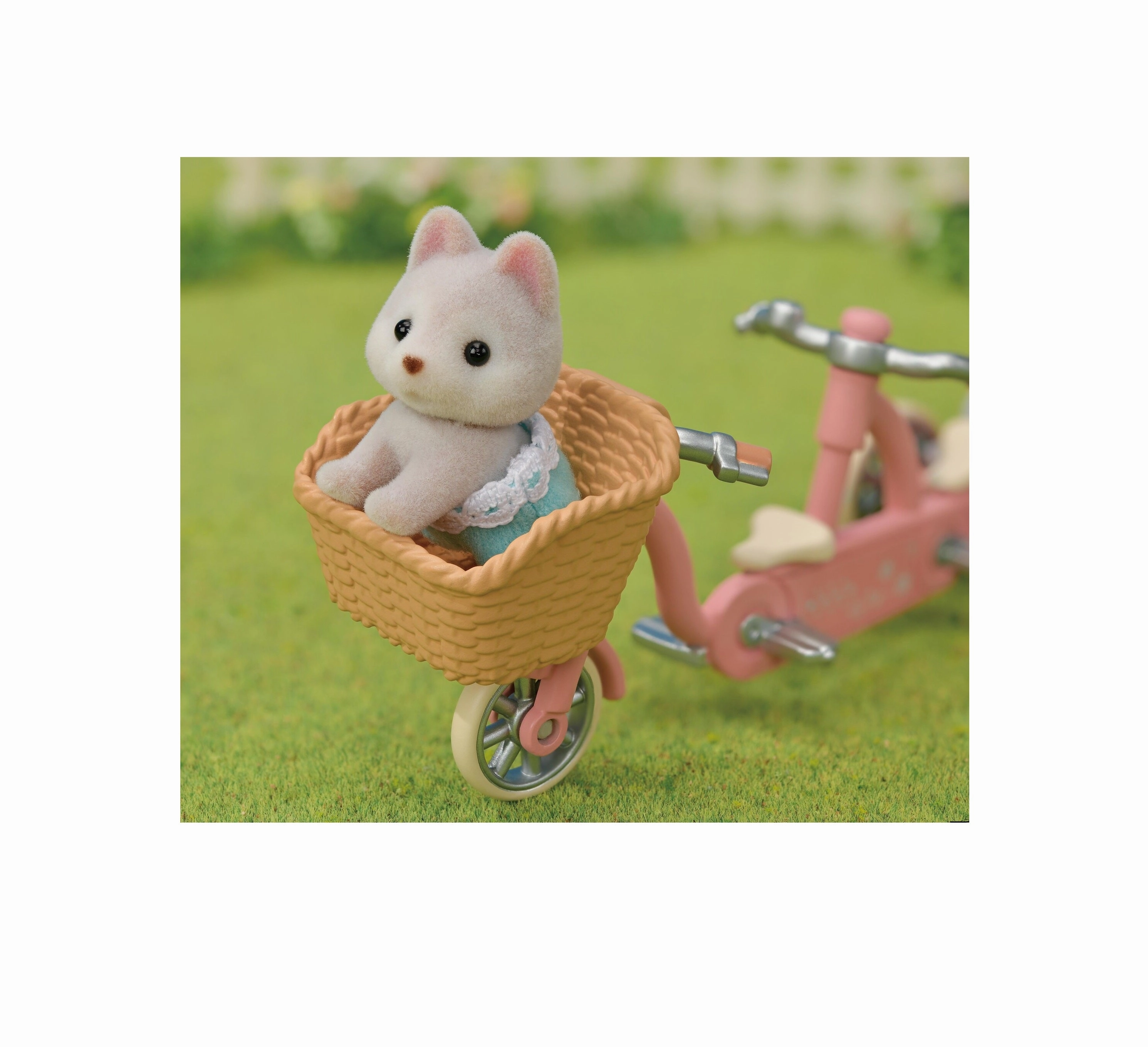 Tandem Cycling Set- Husky Sister & Brother Learn at home
