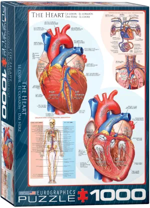 The Heart 1000Pc Early discovery Educational fun