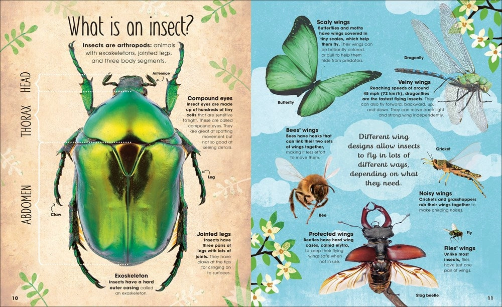 The Book Of Brilliant Bugs Mindful play