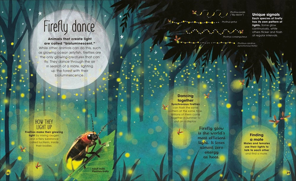 Mini makers The Book Of Brilliant Bugs