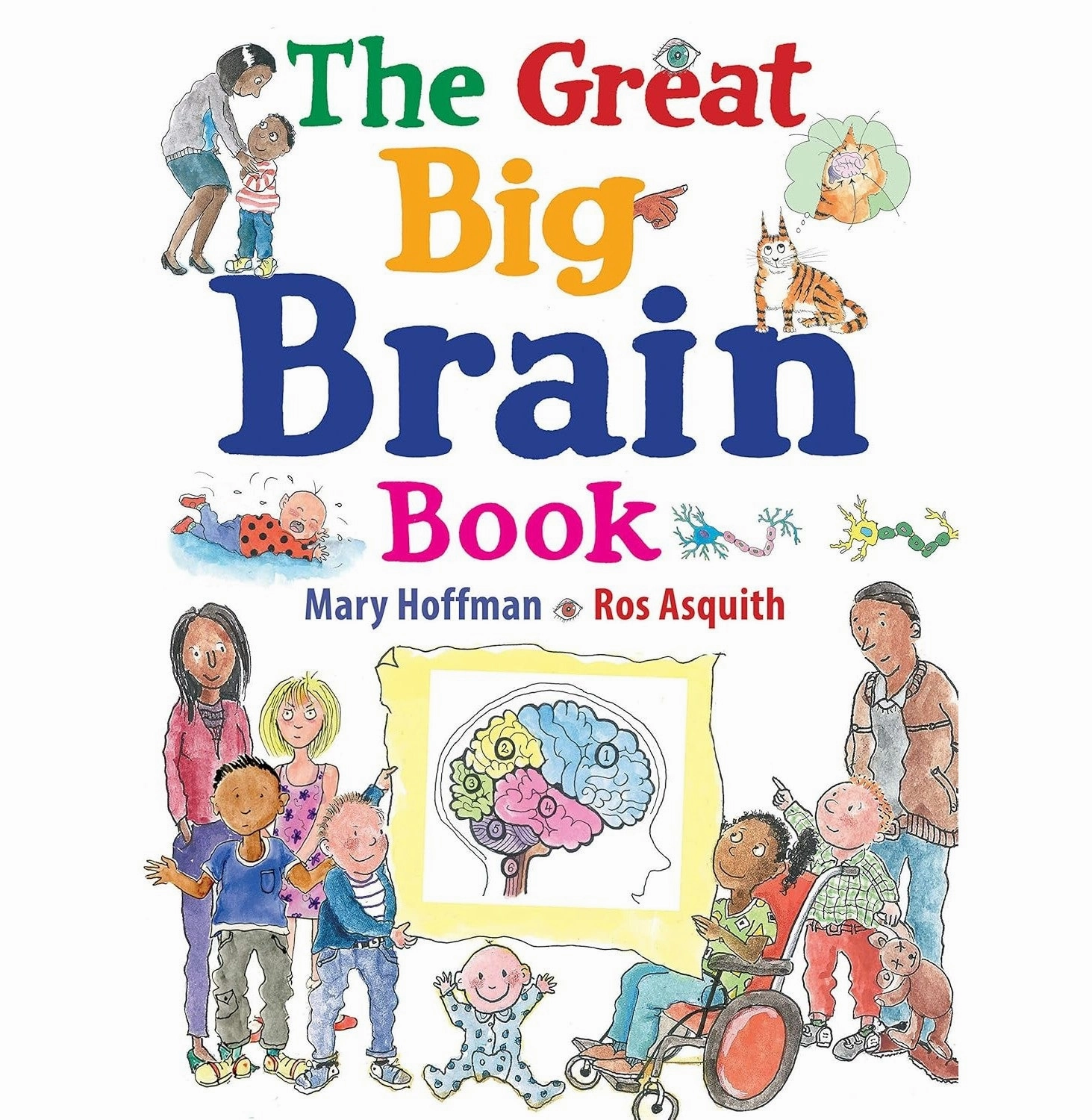 Learn at home The Great Big Brain Book [Paperback] Hoffman Mary And Asquith Ros