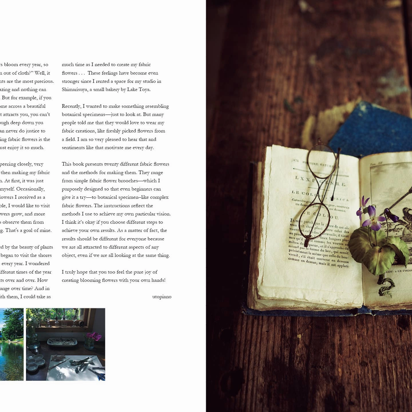The Herbarium Of Fabric Flowers Thoughtful learning Preschool minds