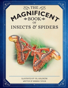 The Magnificent Book Of Insects And Spiders Creative kids