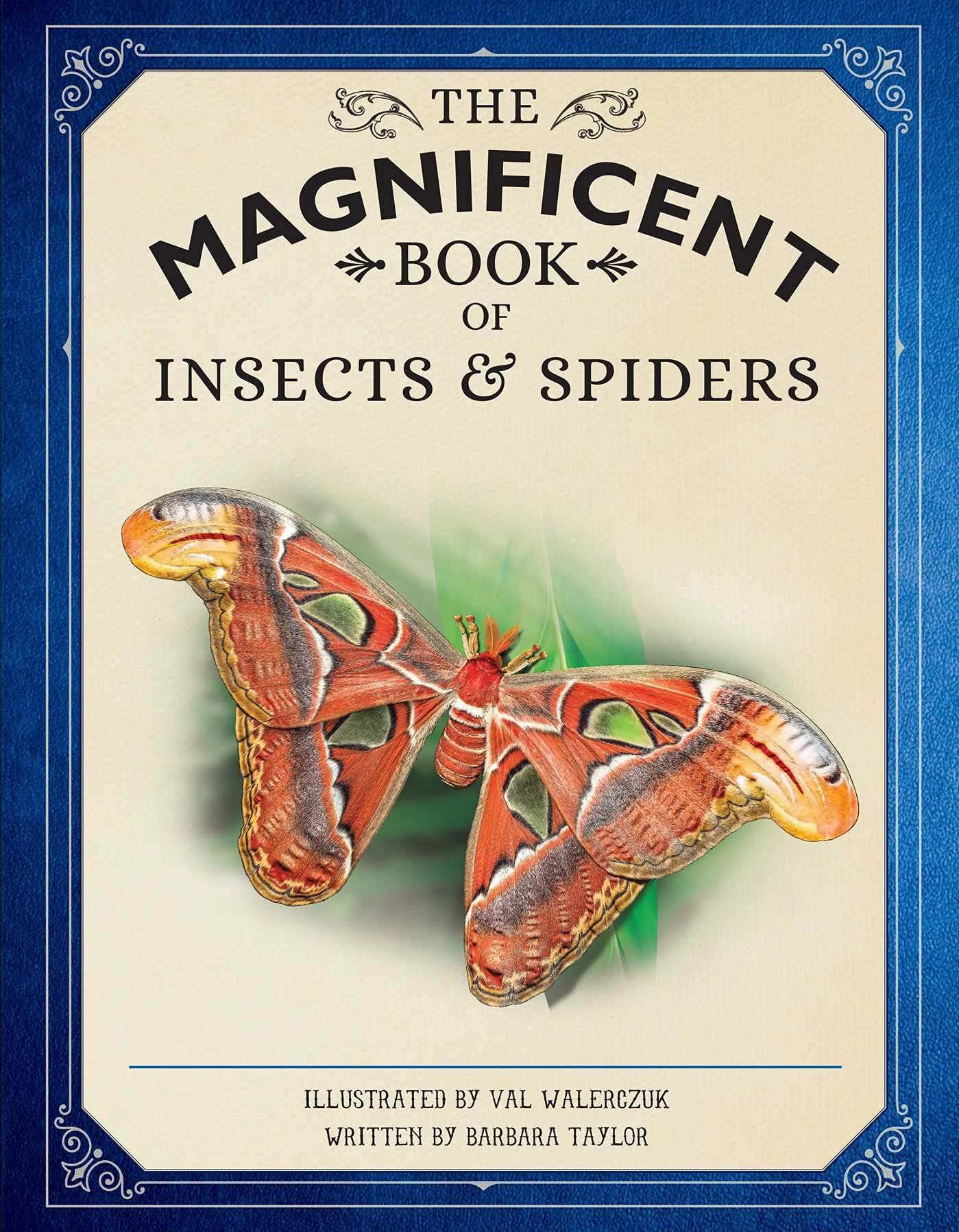 The Magnificent Book Of Insects And Spiders Creative kids