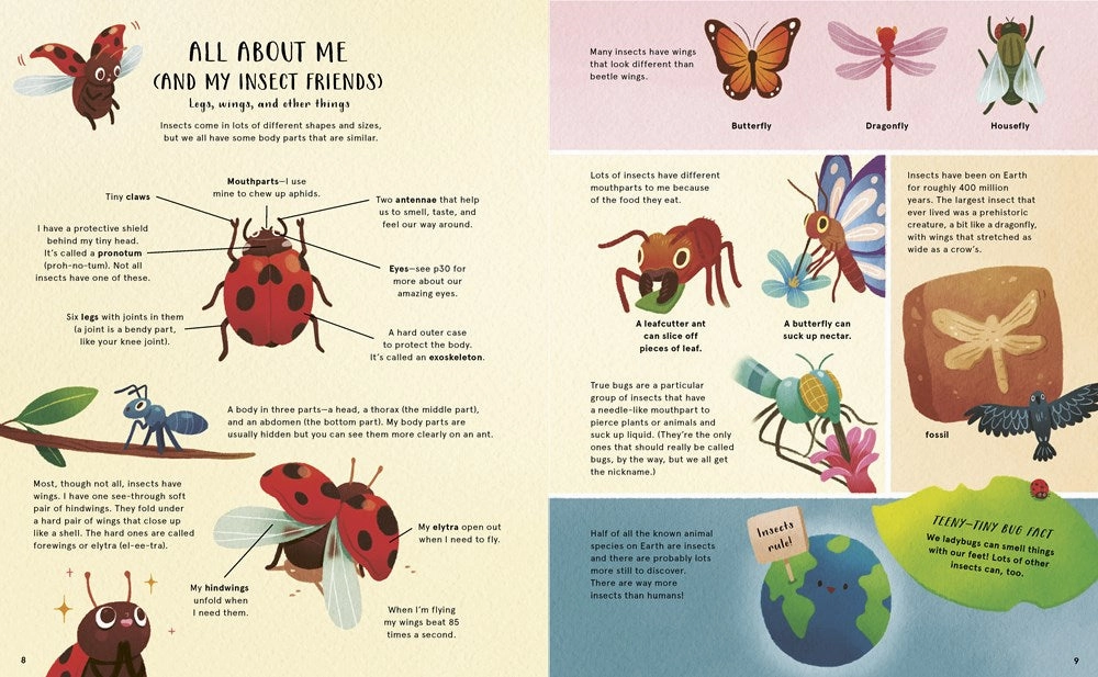 Learning fun The Secret Life Of Bugs