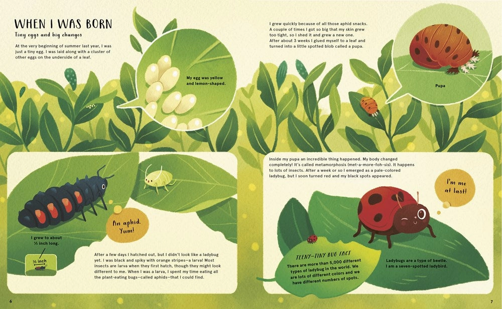 The Secret Life Of Bugs Learning fun Discover & grow