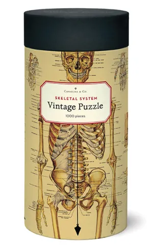 Playroom learning Play & learn Cavallini & Co. Skeleton 1000 Piece Puzzle