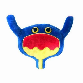 Kid-focused experiences Giant Microbes - Bladder