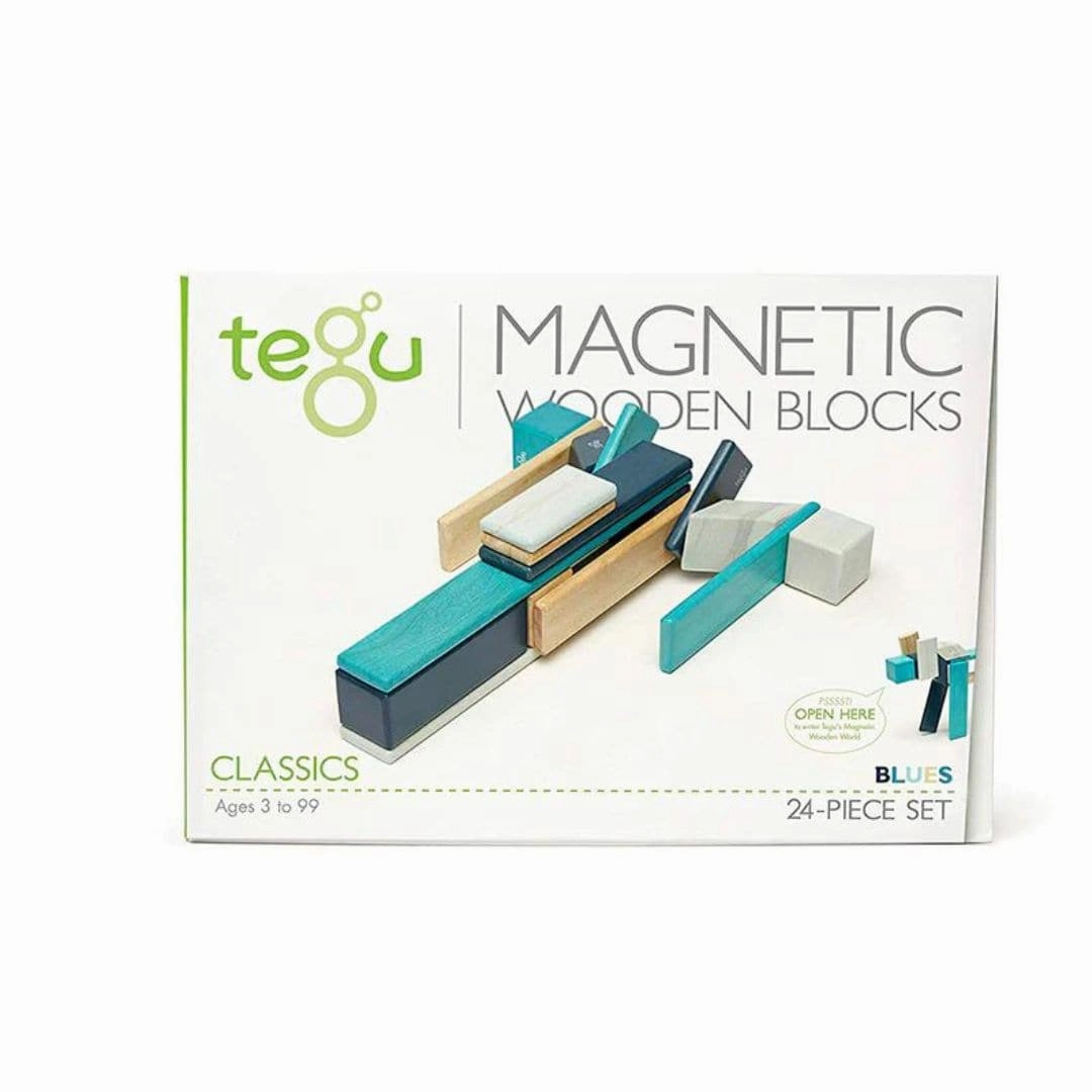Joyful learning Fun for curious minds Magnetic Wooden Blocks - 24 Piece Set Blues