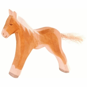 Ostheimer Haflinger Colt Learning tools