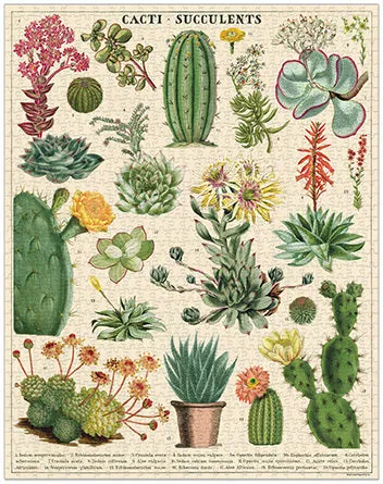 Cavallini & Co. Succulents 1000 Piece Puzzle Young minds at work Growing minds
