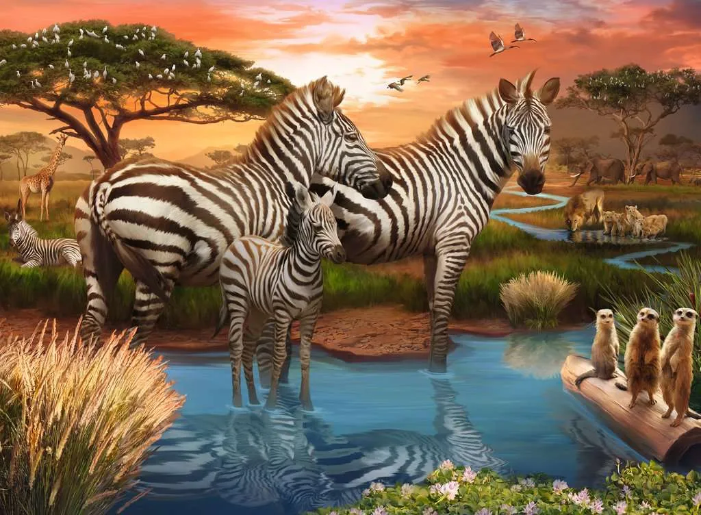 Zebras At Waterhole - 500Pc Kid-centered learning
