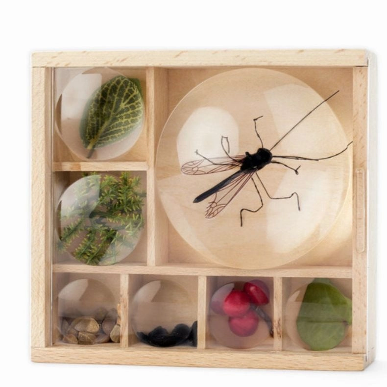 Smart activities for young learners Huckleberry Bug Box
