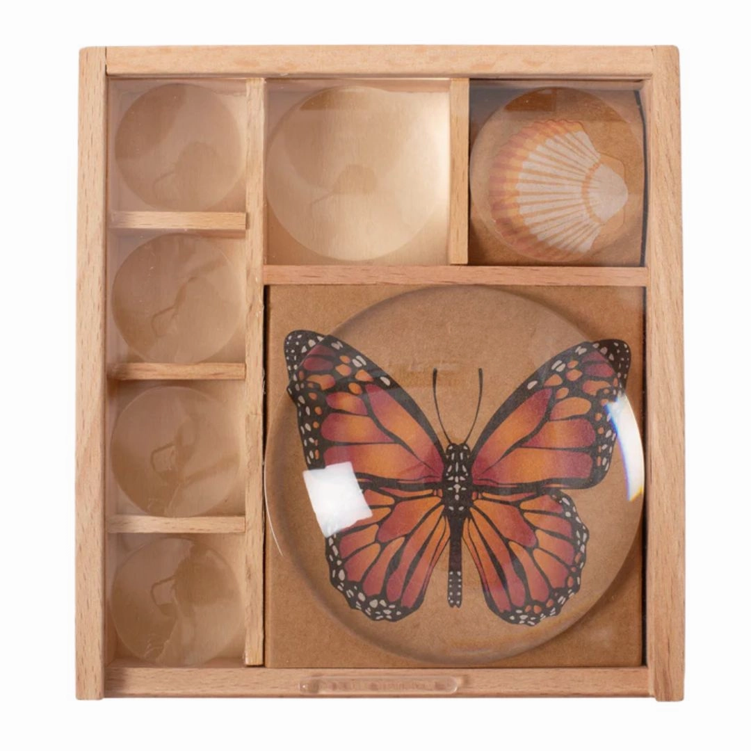 Creative kids Huckleberry Bug Box