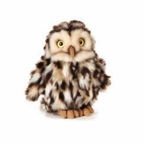 Owl Hands-on discovery