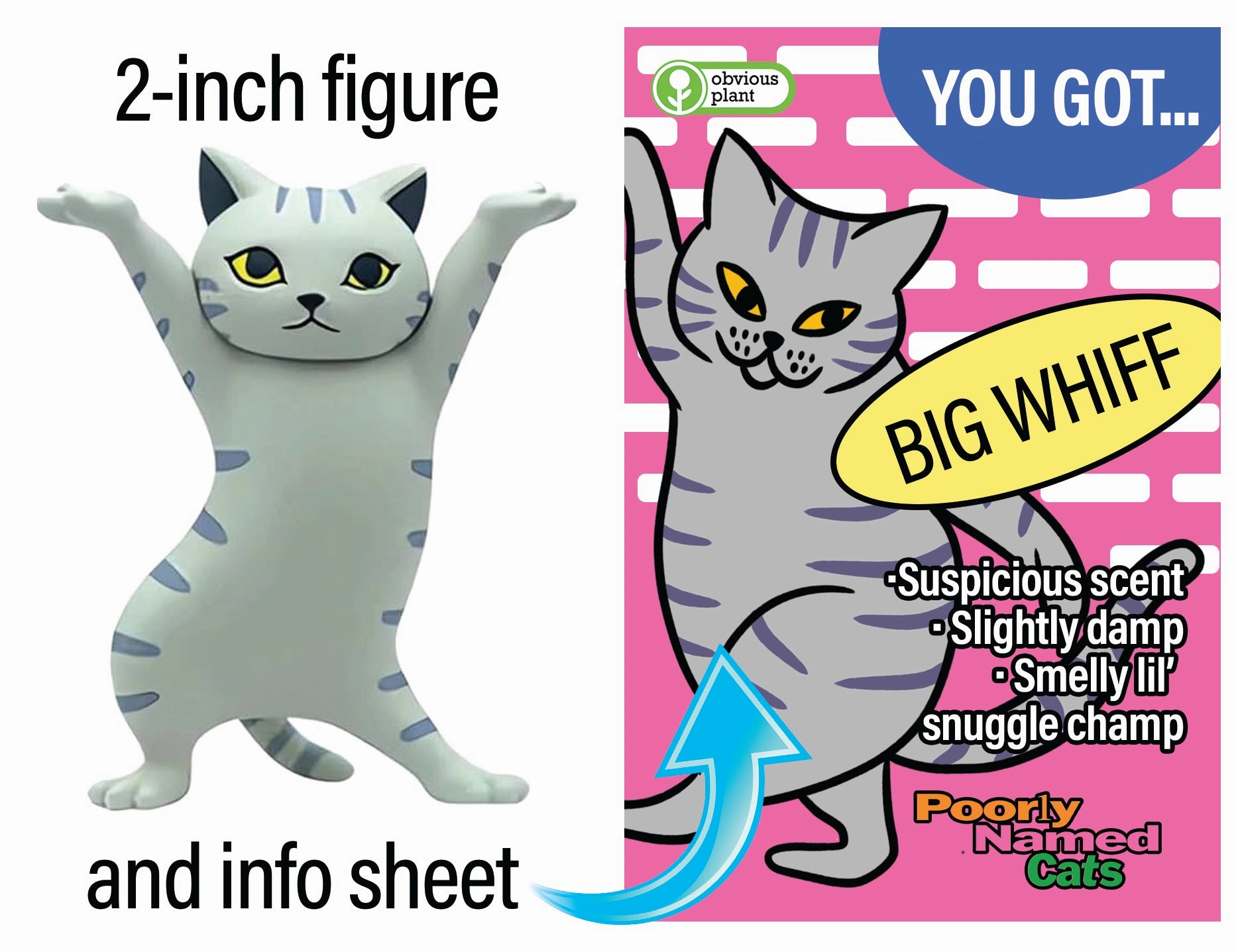 Poorly Named Cats Curiosity starters Kids discovery tools