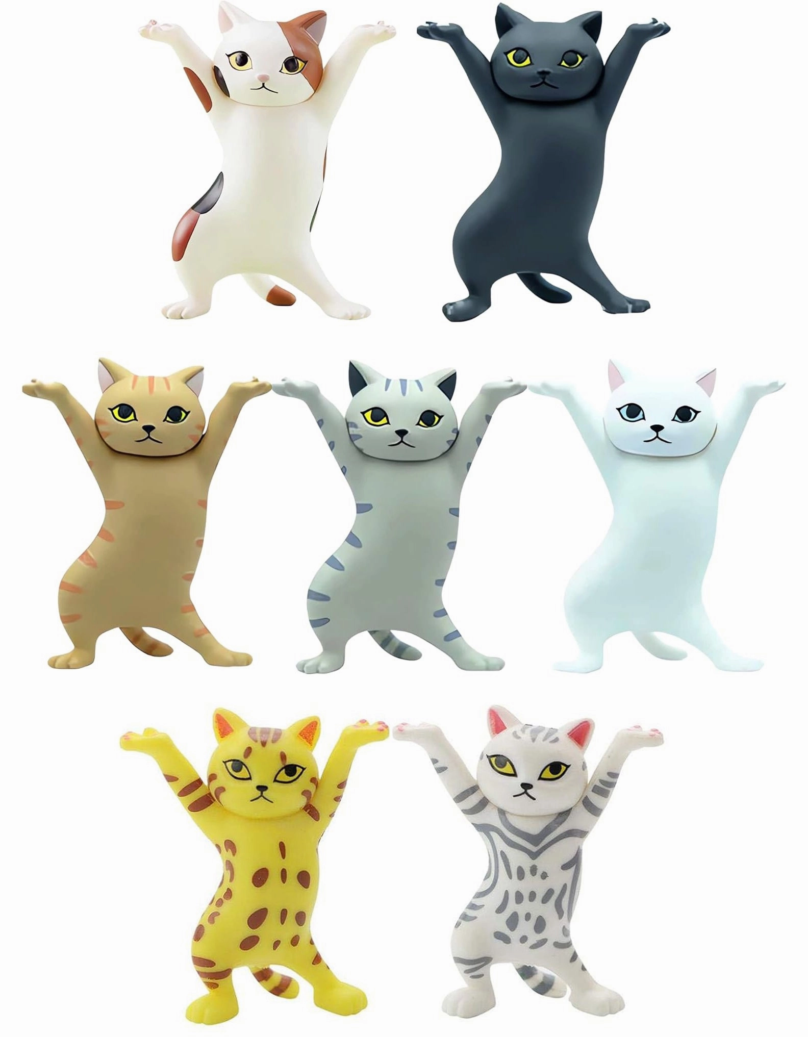 Busy kids Poorly Named Cats
