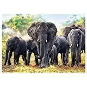 Jigsaw Puzzle African Elephants, 1000 Piece Fun-based learning Early discovery
