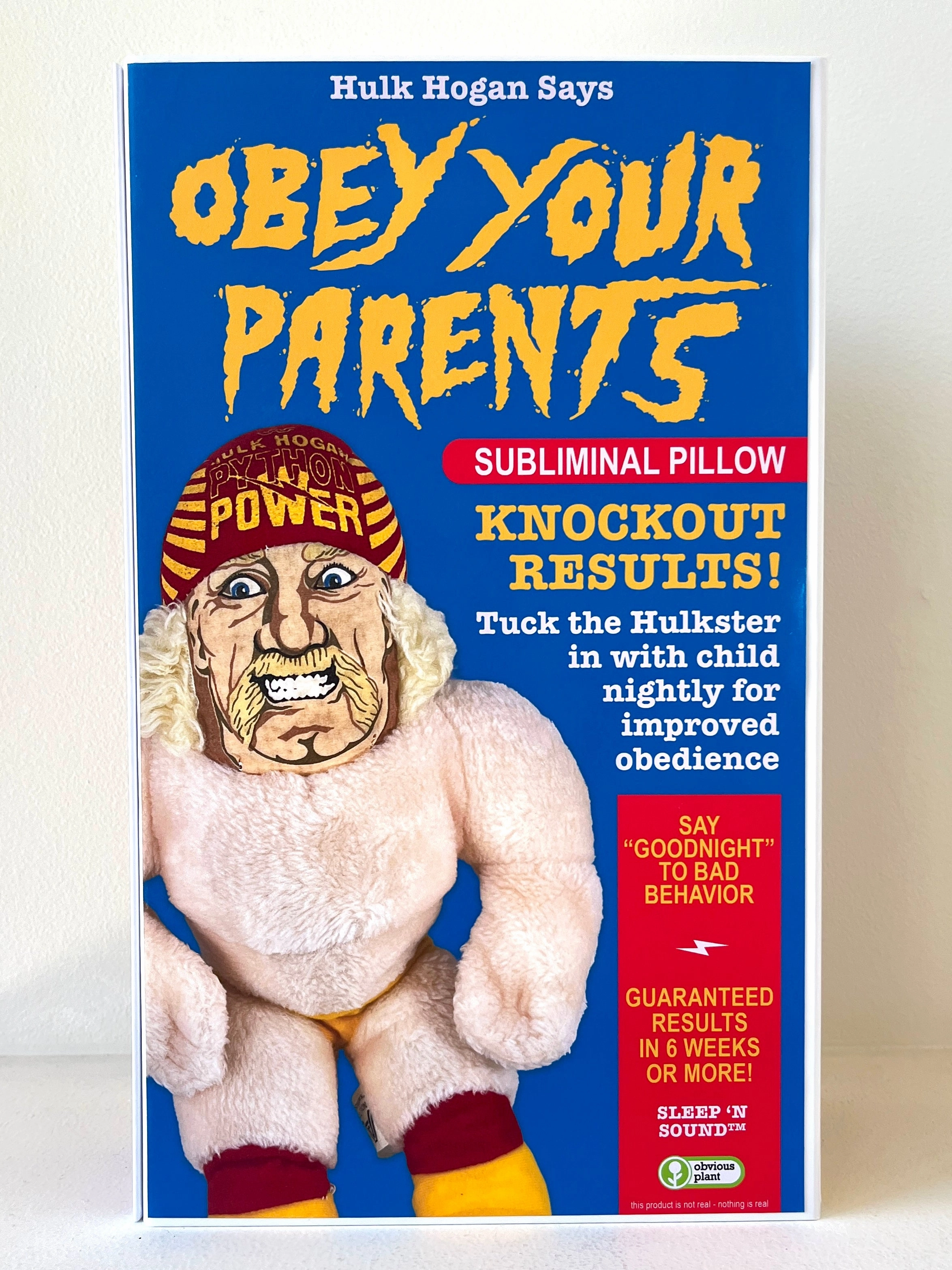 Hulk Hogan Says: Obey Your Parents Fun that fuels growth Exploration made fun