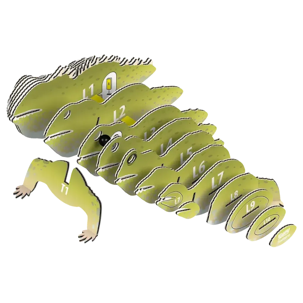 Kid-focused experiences Tuatara 3D Puzzle