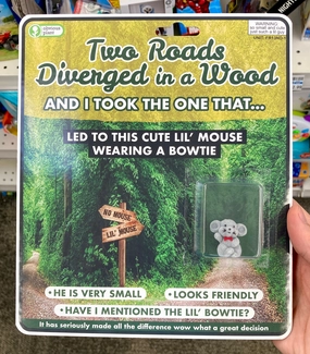 Two Roads Diverged Child development