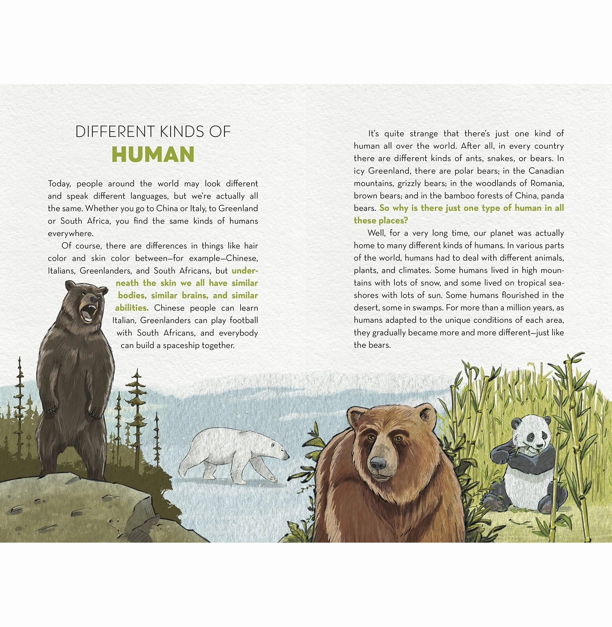 Unstoppable Us Volume 1 (How Humans Took Over The World) [Hardcover] Yuval Noah Harari Ricard Zaplana Ruiz Mindful play