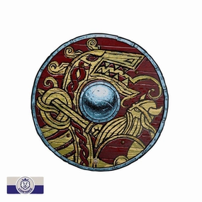 Learning tools Viking Shield
