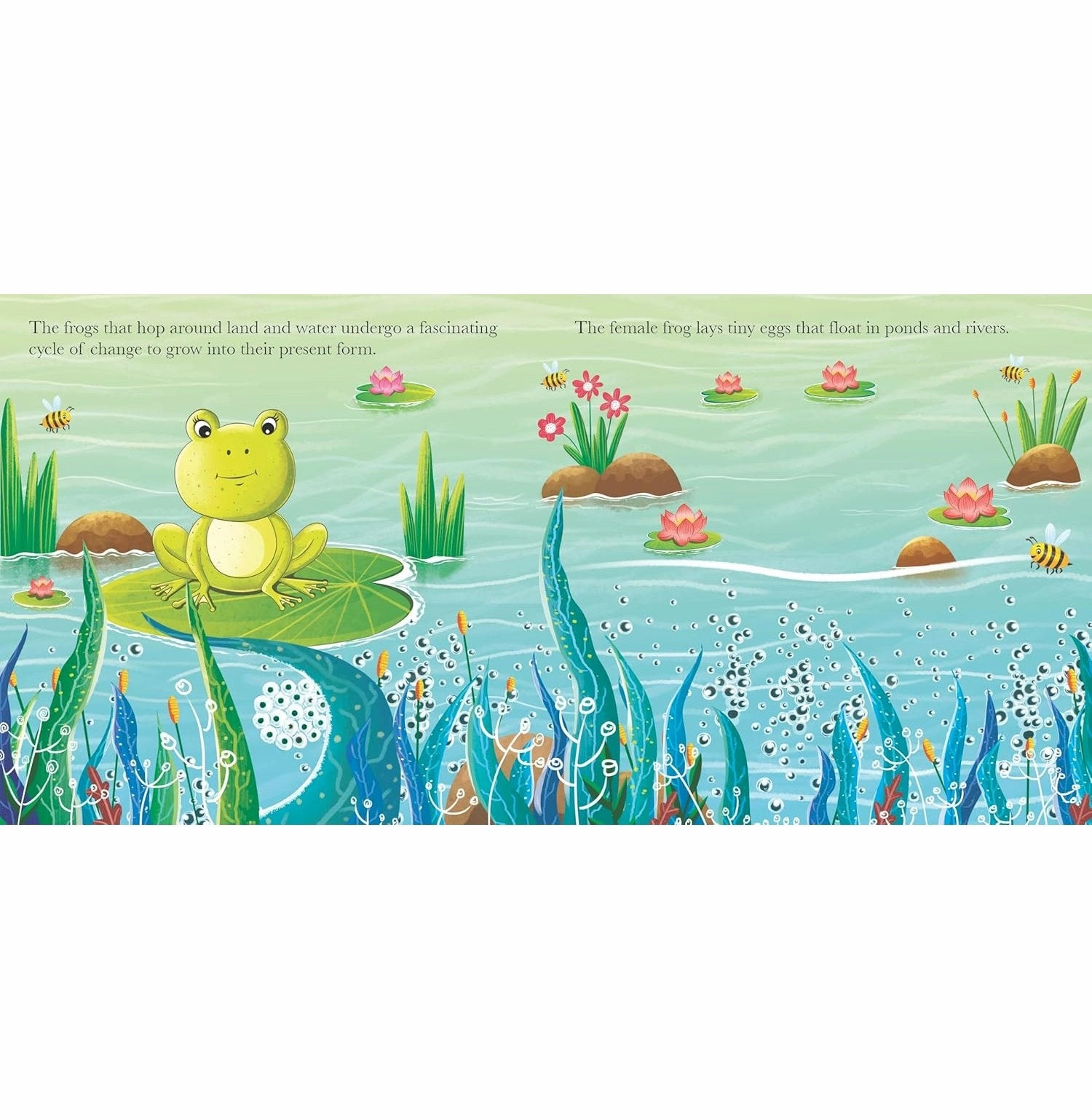 Watch Me Grow! Frog Smart activities for young learners Growing minds
