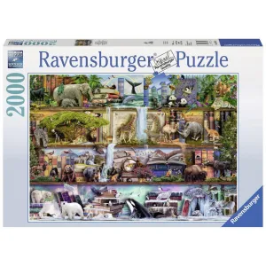 Fun for curious minds Quiet play for growing minds Wild Kingdom Shelves 2000Pc