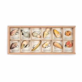 Wild: Exploration Play Set And Sorting Tray Kids essentials Smart kids gear